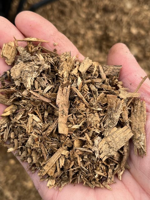Close up image of hand holding wood chips 